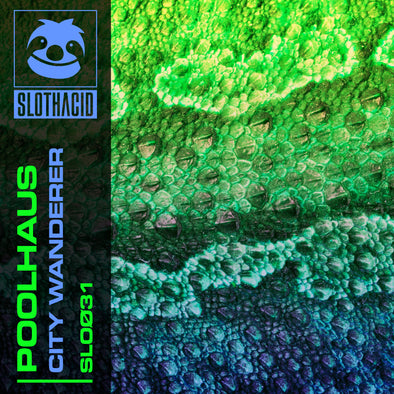 OUT NOW! POOLHAUS - CITY WANDERER